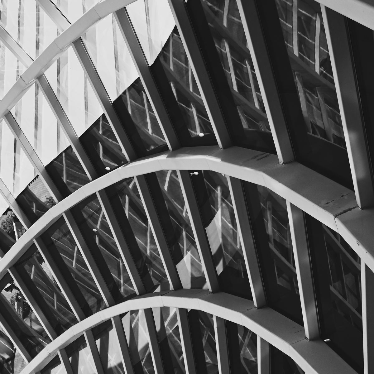 Curved glass and steel structure in Muscat, Oman